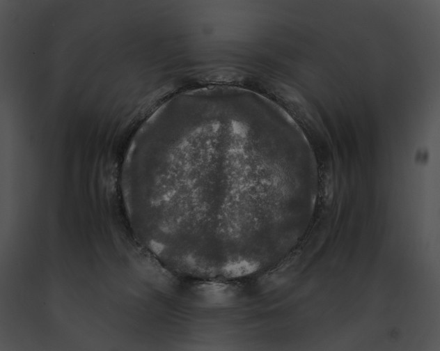 X0000091200326200708301605