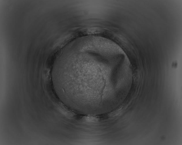 X0000091200327200708301605