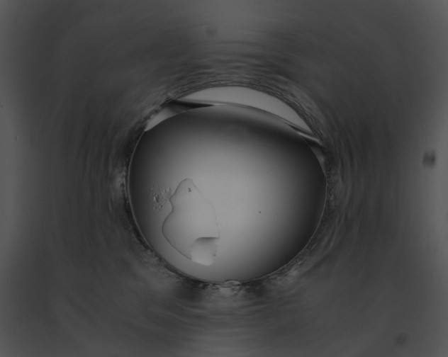 X0000091200329200708301605