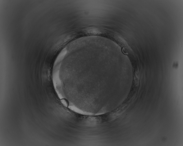 X0000091200330200708301605