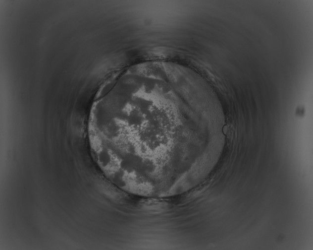 X0000091200331200708301605