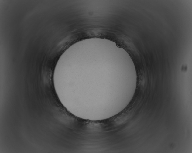 X0000091200332200708301605