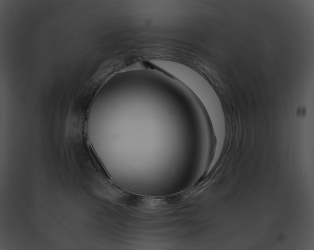 X0000091200333200708301605