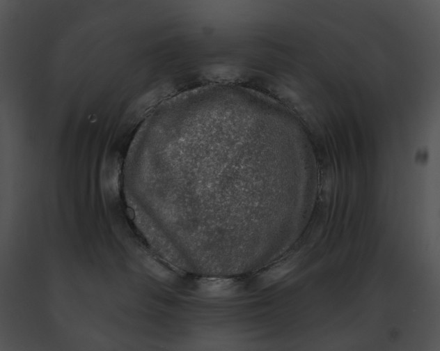 X0000091200334200708301605
