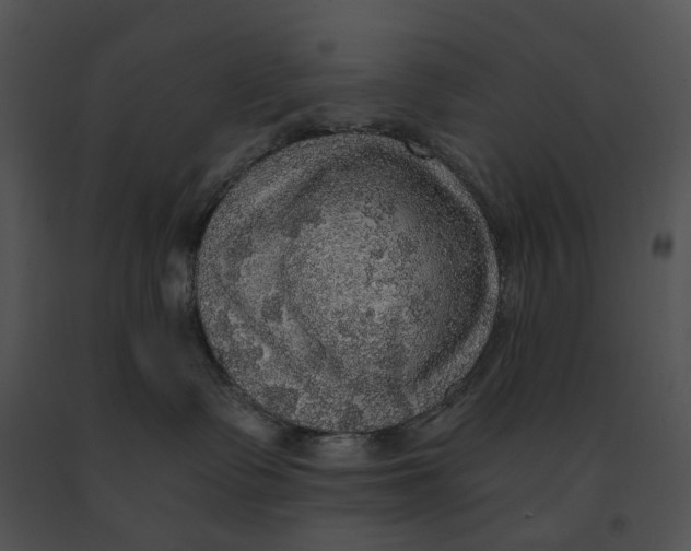 X0000091200335200708301605