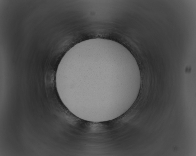 X0000091200336200708301605