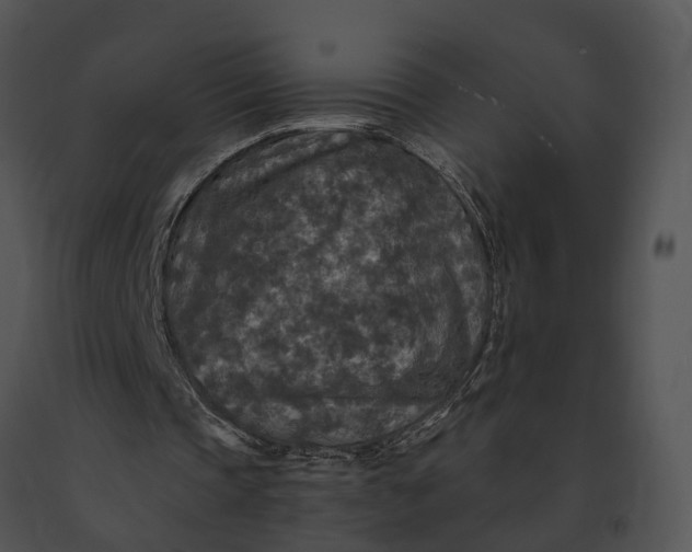 X0000091200337200708301605