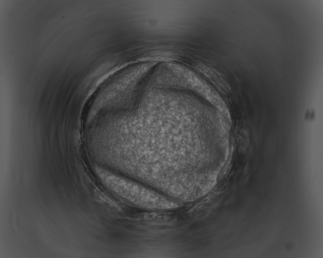 X0000091200338200708301605