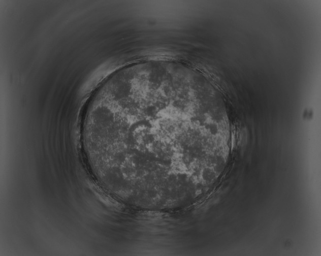 X0000091200339200708301605