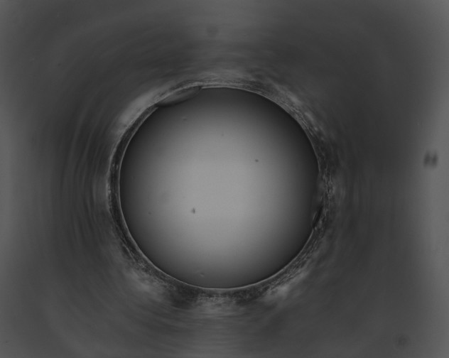 X0000091200340200708301605