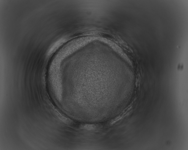 X0000091200341200708301605
