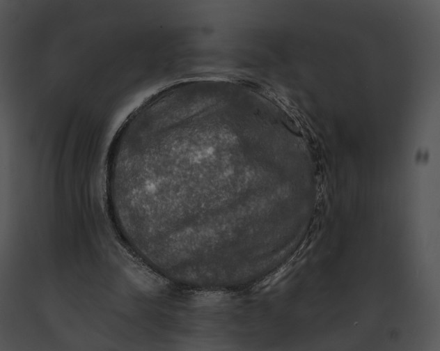 X0000091200342200708301605