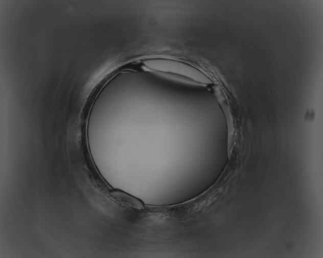 X0000091200344200708301605