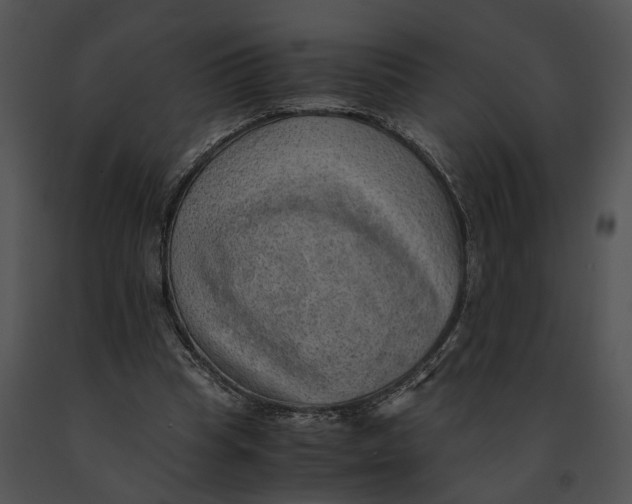 X0000091200345200708301605