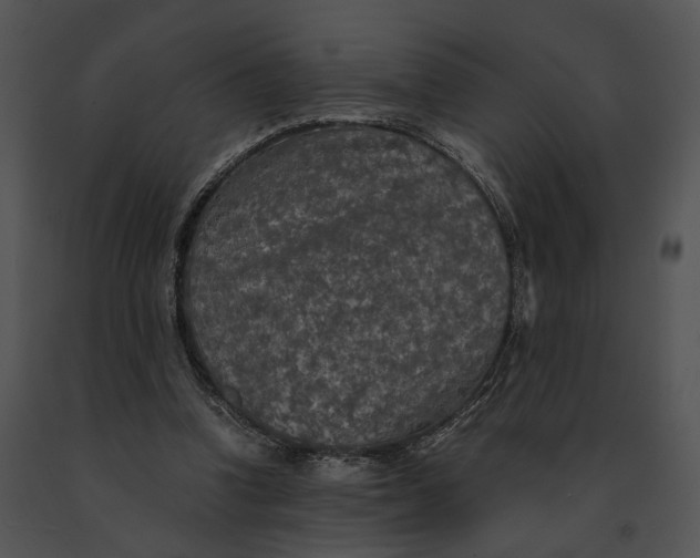 X0000091200346200708301605