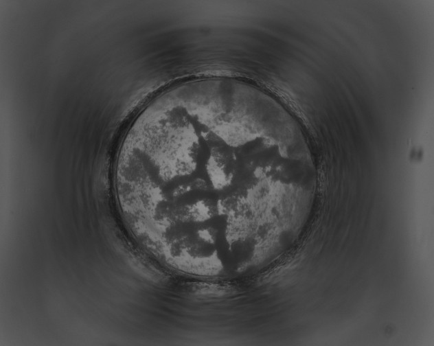 X0000091200347200708301605