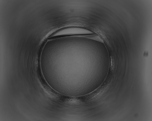 X0000091200348200708301605
