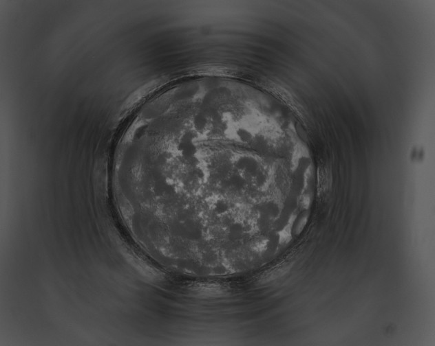 X0000091200349200708301605