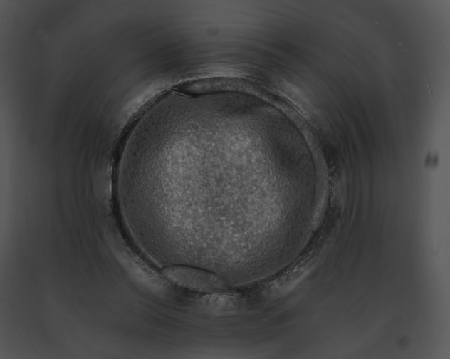 X0000091200350200708301605