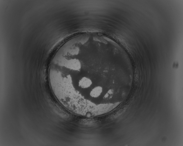 X0000091200351200708301605