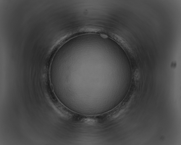 X0000091200352200708301605