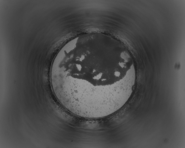 X0000091200353200708301605