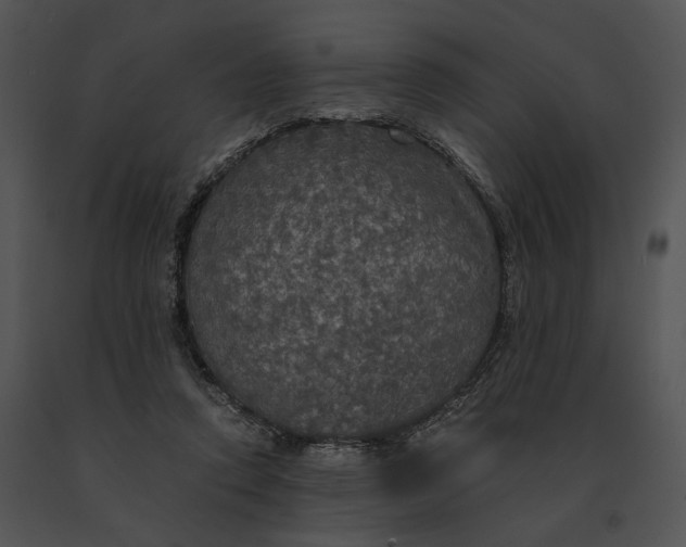 X0000091200354200708301605
