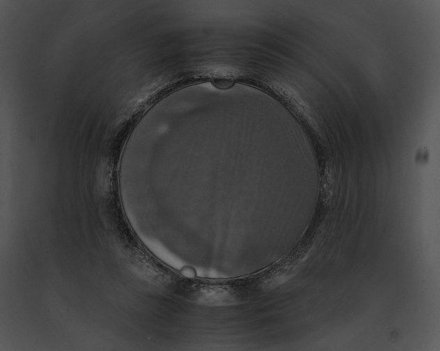 X0000091200355200708301605