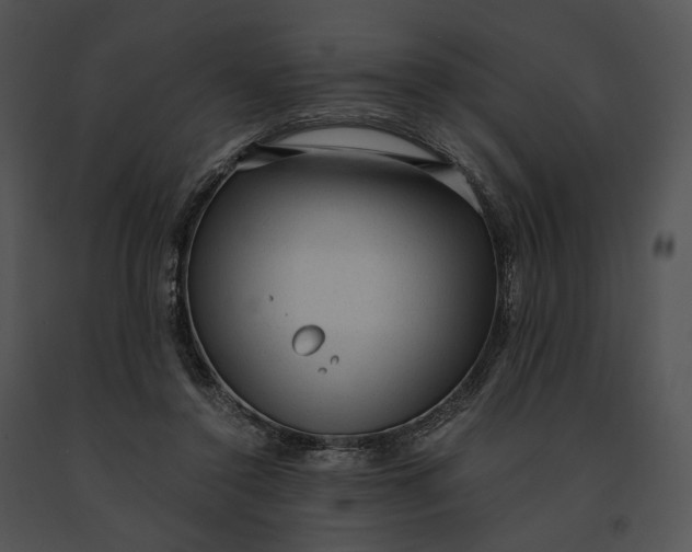 X0000091200356200708301605