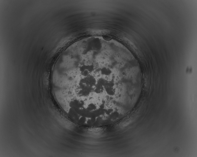 X0000091200357200708301605