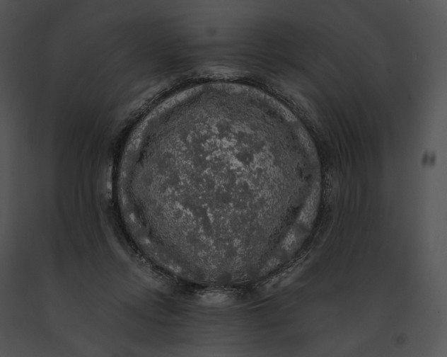 X0000091200358200708301605