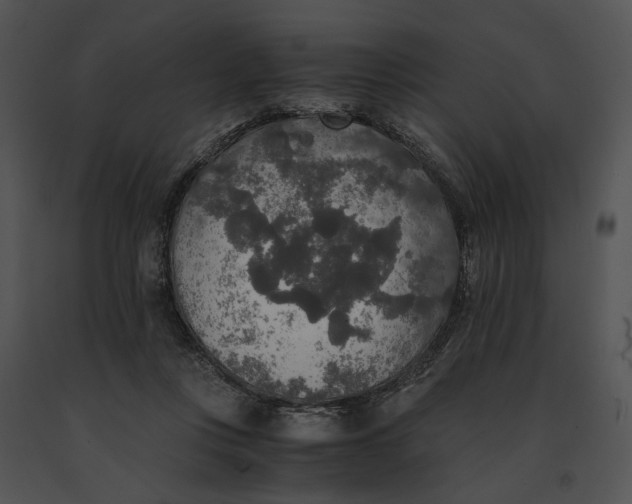 X0000091200359200708301605