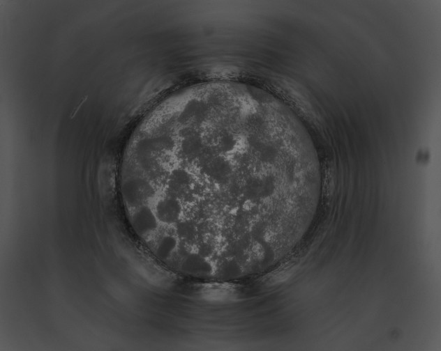 X0000091200363200708301605