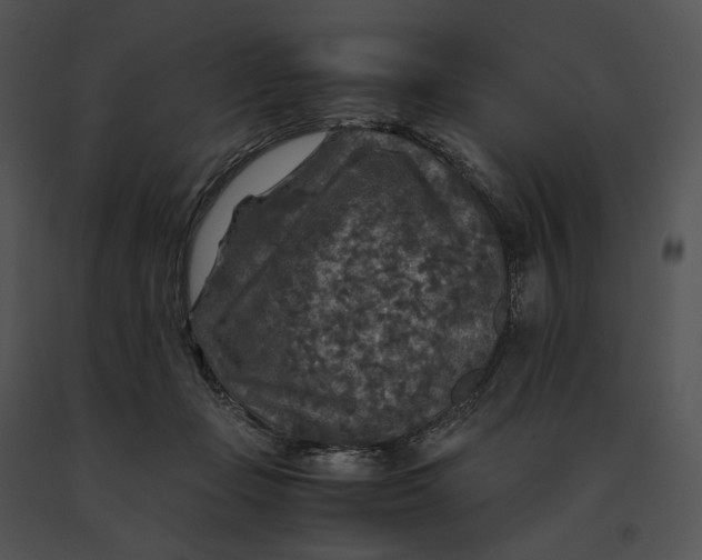 X0000091200365200708301605