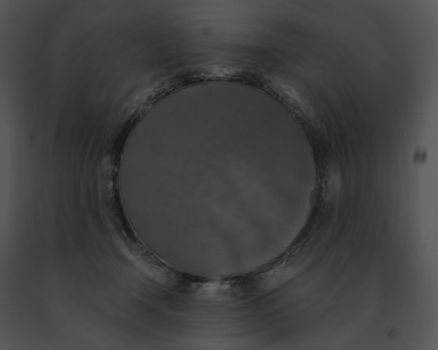 X0000091200366200708301605