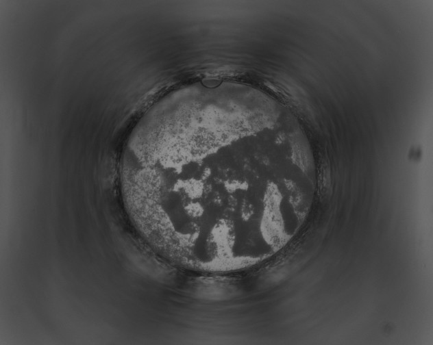 X0000091200367200708301605
