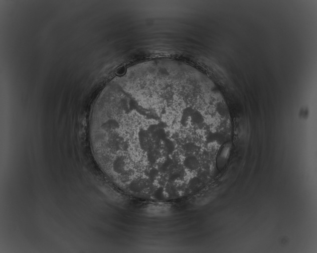 X0000091200369200708301605