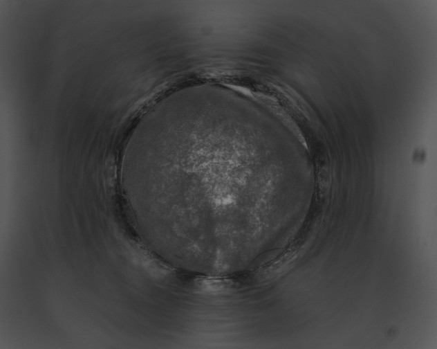 X0000091200372200708301605