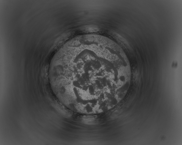 X0000091200373200708301605