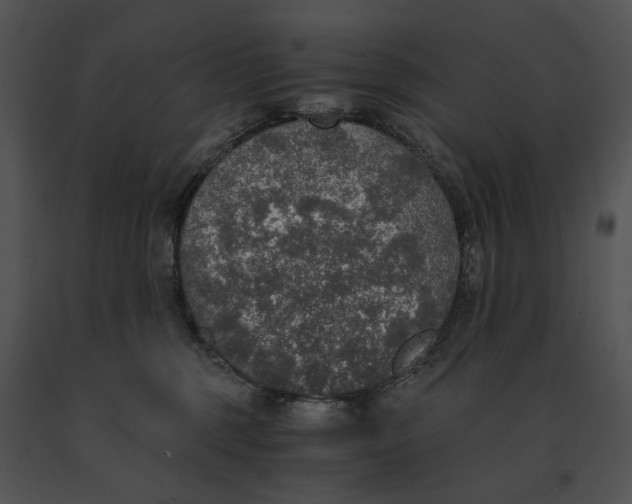 X0000091200375200708301605