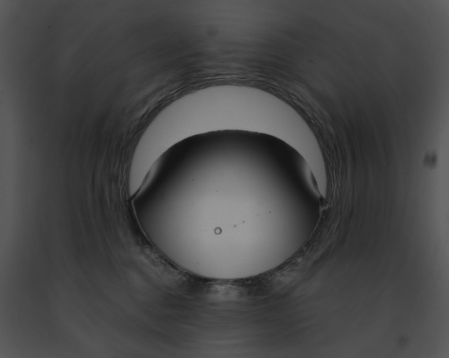 X0000091200376200708301605