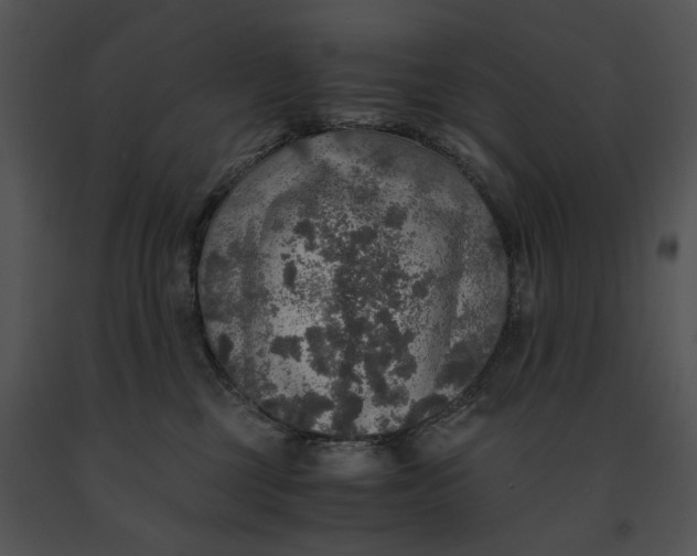 X0000091200377200708301605