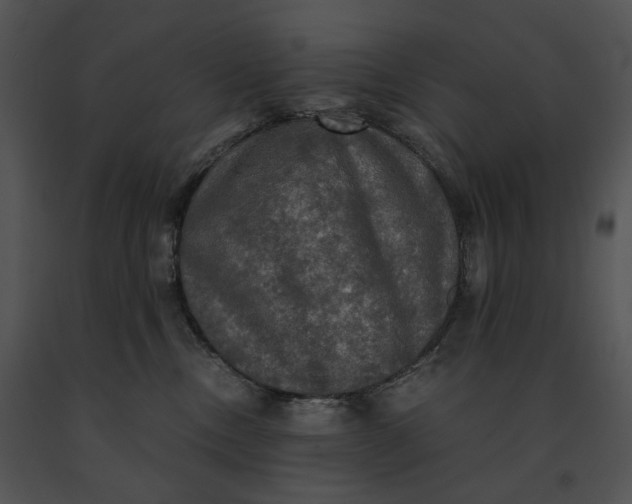 X0000091200378200708301605