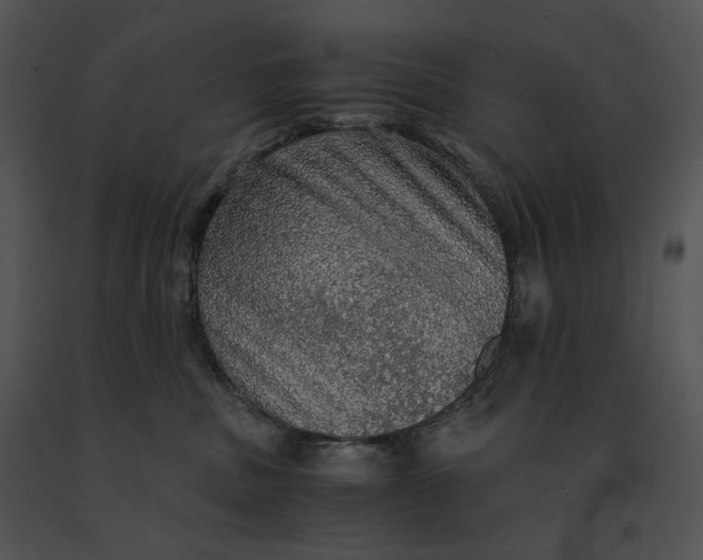 X0000091200379200708301605