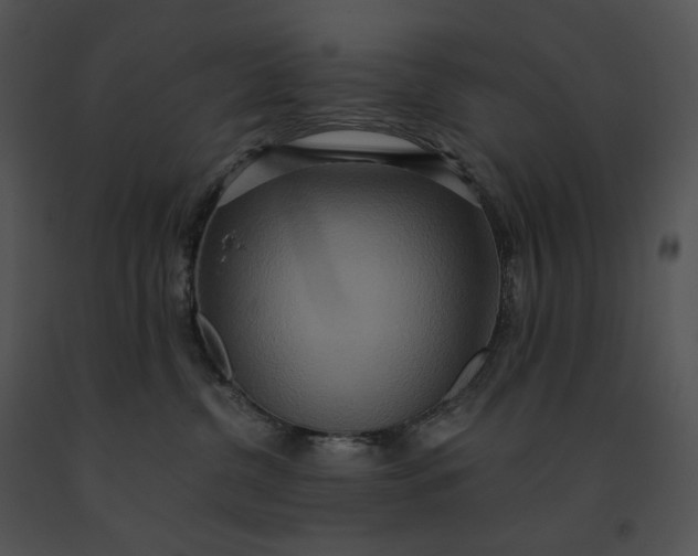 X0000091200380200708301605