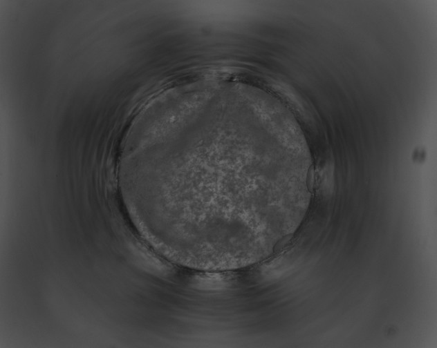 X0000091200381200708301605