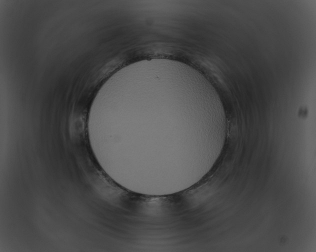 X0000091200382200708301605