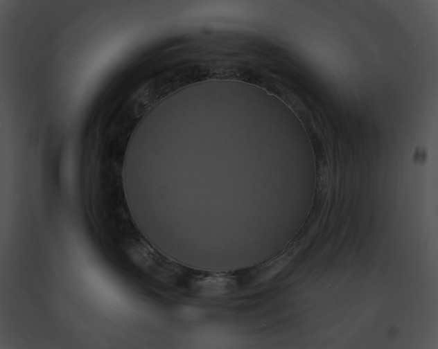 X0000091200383200708301605