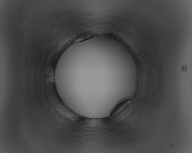 X0000091200384200708301605