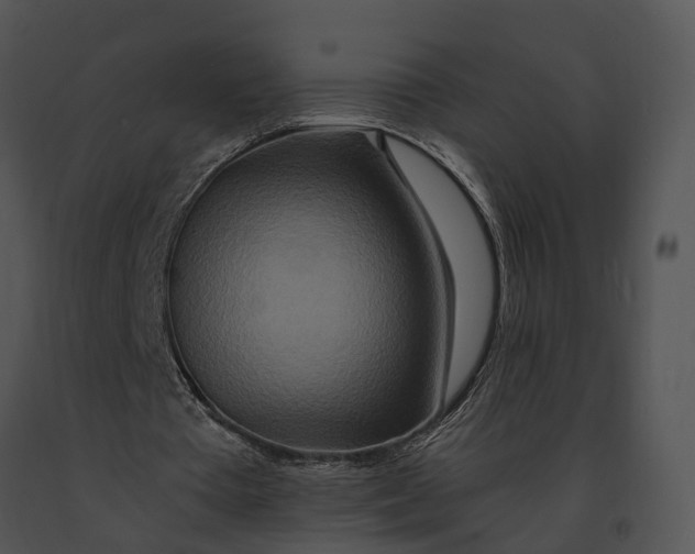 X0000091200385200708301605